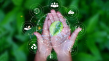 Harmonizing Digitalization and Sustainability: Perceptions from eco Surveys